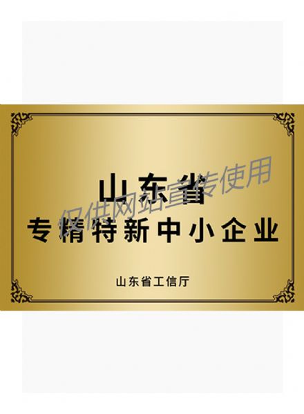 省級(jí)專精特新中小企業(yè)